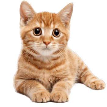 miharou.menexiadis.gr